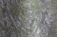 Boulton fibreglass roof work